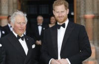 Coup dur pour le roi : Charles III tend la main à son fils le prince Harry, le papa d'Archie et Lilibet l'envoie balader