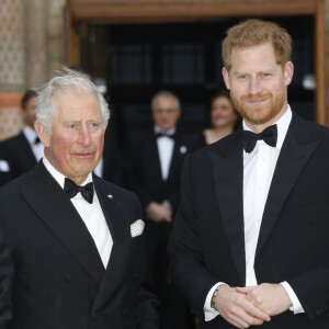 La réconciliation ne sera pas pour cette fois !
Le prince Charles, prince de Galles, le prince Harry, duc de Sussex, à la première de la série Netflix "Our Planet" au Musée d'Histoires Naturelles à Londres