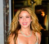 Actuellement, Shakira vit à Los Angeles avec ses deux enfants et priorise leur bien-être
Shakira est éblouissante alors qu'elle se rend à l'after-party du Met Gala à New York. Sur la photo : Shakira