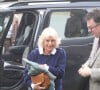 La reine consort, 77 ans, a associé son jean à un pull marine à col ras du cou et aux manches volumineuses.
Camilla Parker-Bowles, reine consort d'Angleterre au Braemar Literary Festival où son fils Tom Parker-Bowles a fait une lecture - 21 septembre 2024.