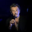 Johnny Hallyday devait jouer dans cette célèbre série... mais il s'est fait doubler par Depardieu !