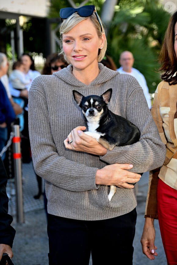 Le Rokethon Monaco est une course pour les propriétaires de chiens et leurs compagnons canins, visant à encourager l'adoption et la possession responsable d'animaux de compagnie.
La princesse Charlene de Monaco a participé au chapiteau de Fontvieille, à Monaco, le 5 octobre 2024