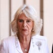 Le royaume frissonne : la reine Camilla mise au repos par ses médecins, le diagnostic médical a parlé