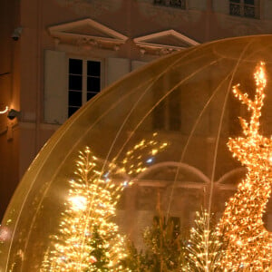 Le prince Albert II de Monaco et la princesse Charlène, avec leurs enfants, les jumeaux princiers, Jacques et Gabriella, ont donné le coup d'envoi des illuminations de Noël sur la Place du Palais de Monaco, le 30 novembre 2024. © Bruno Bebert/Pool Monaco/Bestimage 