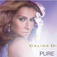 Céline Dion : Une Pure et Brillante star internationale !