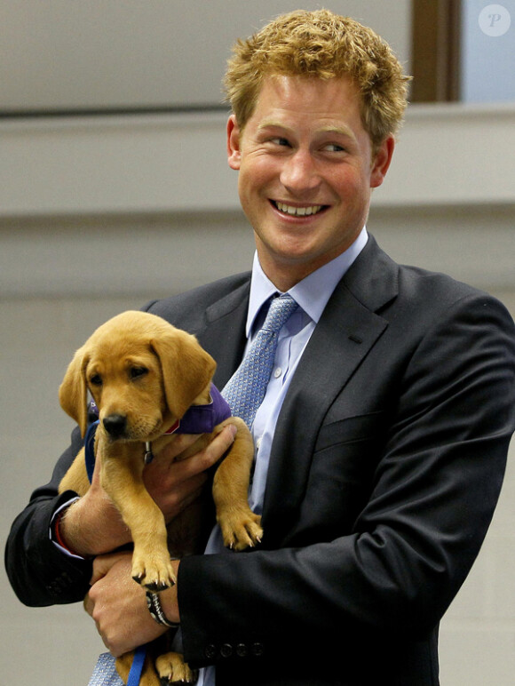 Le Prince Harry découvre un chien qui lui ressemble