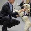 Le Prince Harry a rendu visite à un centre canin