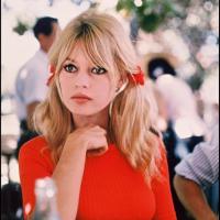 Brigitte Bardot s'offre la plus belle des vitrines...
