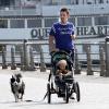 Ethan Hawke, sa fille Clémentine et son chien, en jogging-poussette à New York, le 25 septembre 2010