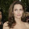 Angelina Jolie porte une robe Hermès vintage en janvier 2008.