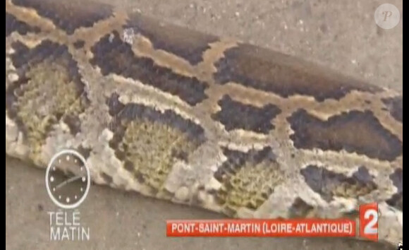 Télématin, hier sur France 2.