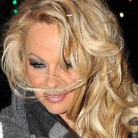 Pamela Anderson : Victime d'un fan hystérique et violent !