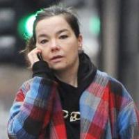 Björk : Une chanteuse engagée, mais loin d'être une fashionista !