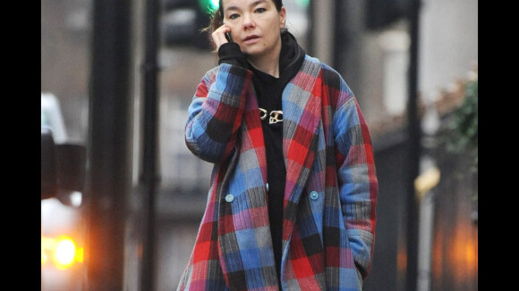Björk : Une chanteuse engagée, mais loin d'être une fashionista !