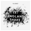 PJ Harvey dévoilera le 14 février 2011 son nouvel album, Let England Shake, annoncé notamment par le remarquable morceau The Words That Maketh Murder.