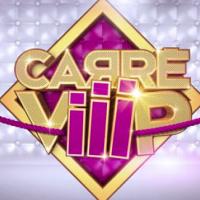 Carré ViiiP : La bande-annonce de la nouvelle téléréalité de TF1 !