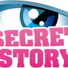 Secret Story 5 arrivera sur TF1 à la rentrée de septembre.