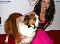 Kristin Davis et Leona Lewis réunies pour un événement qui a du chien !