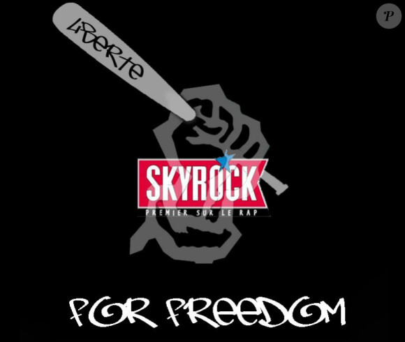 Affiche de soutien à Skyrock glanées sur la toile, avril 2011