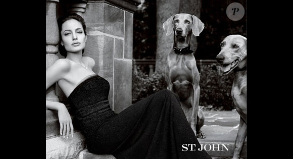 Kate Winslet succède à la belle Angelina Jolie, et devient ainsi la nouvelle égérie de St. John.