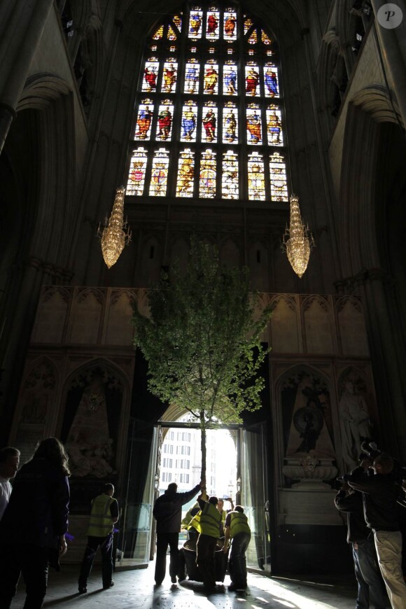 Dans la semaine précédant le mariage, la décoration florale, incluant huit arbres (érables et charmes) de 6 mètres de haut, ont été implantés dans l'abbaye de Westminster.