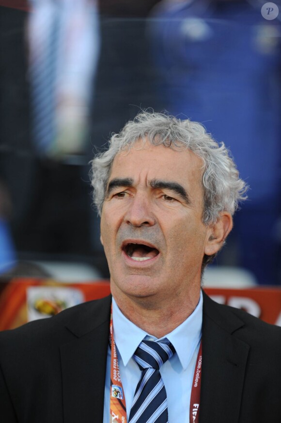 Raymond Domenech, lors d'un match en Afrique du Sud, en juin 2010.
