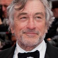 Cannes 2011 - Robert de Niro : "J'assume totalement ce palmarès..."