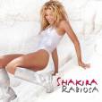 Shakira n'hésite pas à changer de look pour le clip de  Rabiosa , jouant les allumeuses en brunette, cheveux au carré. Mais c'est en blonde plantureuse qu'elle s'illustre au pole-dance...