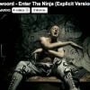 Die Antwoord, Enter the Ninja, avec la participation de Leon Botha, aka DJ Solarize, décédé le 5 juin 2011 à 26 ans.