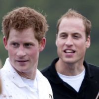 Les princes William et Harry : des rivaux fougueux, complices et trempés