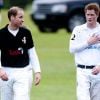 Le duc de Cambridge William et son frère Harry lors du tournoi de polo caritatif à Sunninghill, près d'Ascot en Angleterre le 12 juin 2011