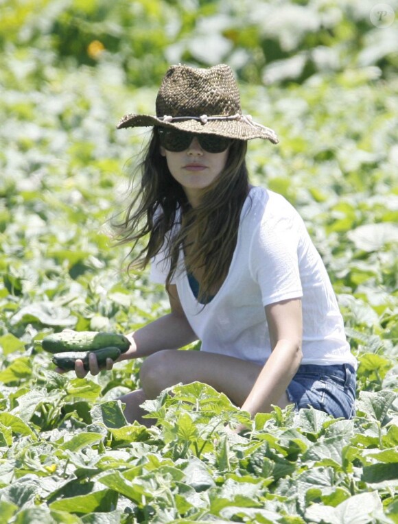 Rachel Bilson est toujours lookée, même pour aller à la ferme. Los Angeles, 26 juin 2011