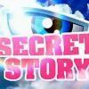 Générique de Secret Story 5