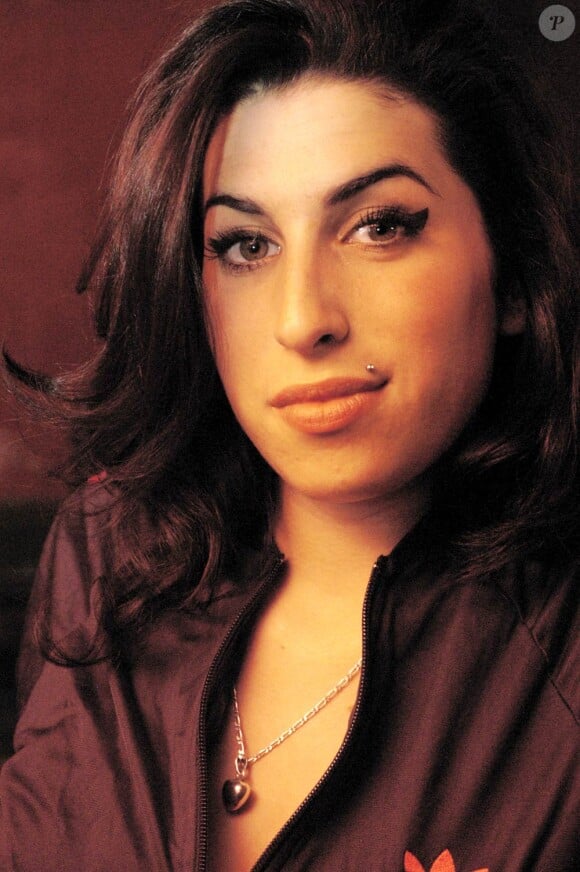 Lors des funérailles de sa fille Amy Winehouse, le 26 juillet 2011, Mitch Winehouse a annoncé qu'il souhaitait créer une fondation à son nom contre les addictions qui ont coûté la vie à la chanteuse de 27 ans.