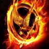 La première affiche de Hunger Games.