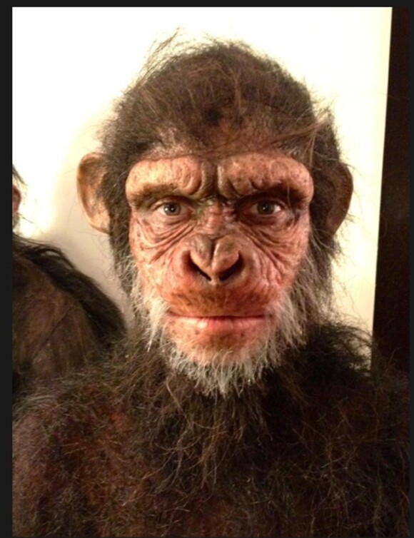 Heidi s'est prise en photo pendant les phases de transformation en singe !! Le final !