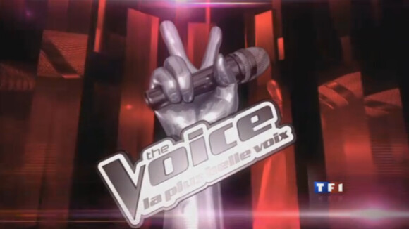 The Voice : L'aventure commence... Le casting est lancé