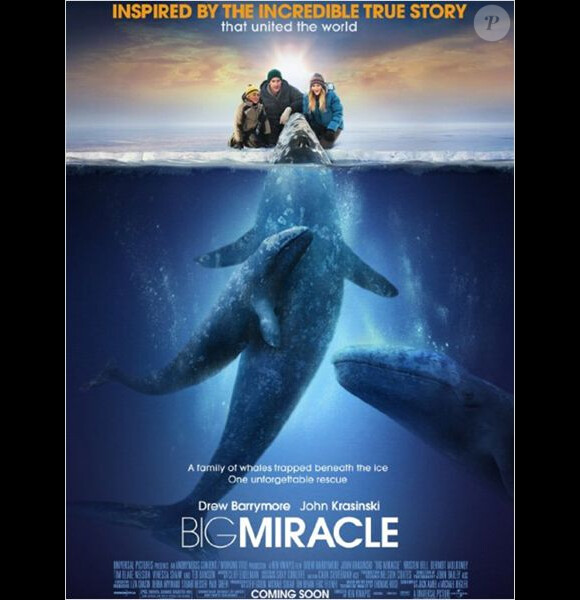 Drew Barrymore dans Big Miracle (Miracle en Alaska), sortie française prévue le 11 avril 2012.