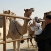 Steven Seagal, en famille, à la rencontre des plus beaux chameaux