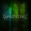 My Heart is Broken, extrait de l'album Evanescence du groupe éponyme.