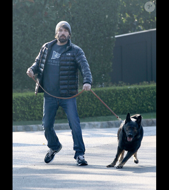 Ben Affleck se balade avec son chien, à Los Angeles, le 2 février 2012