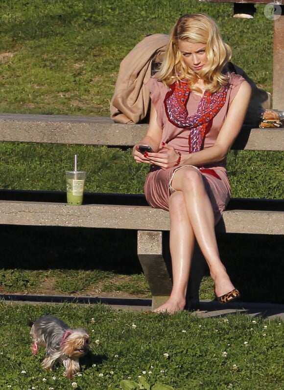 Amber Heard et son yorkshire Pistol passent l'après-midi dans un parc à Los Angeles, le 8 février 2012.