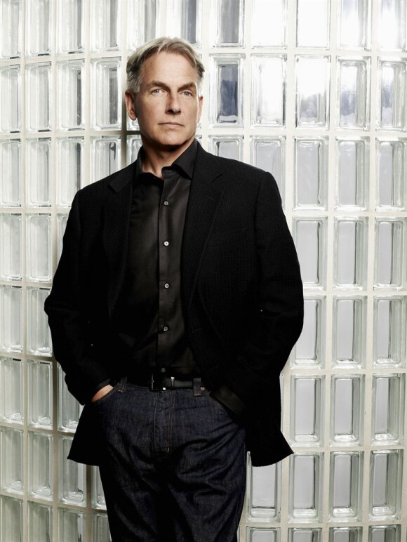 Mark Harmon : L'agent Gibbs NCIS