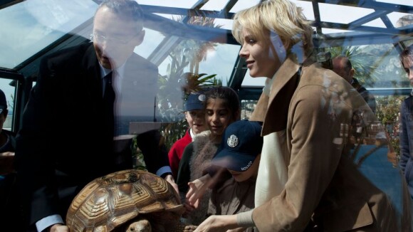 Princesse Charlene: Radieuse, les cheveux courts, en compagnie de jolies tortues