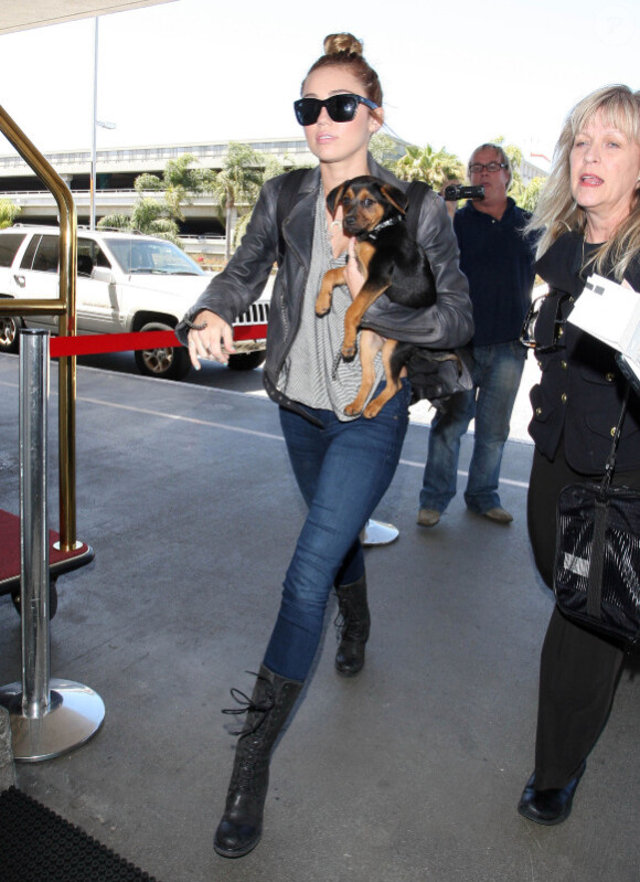 Miley Cyrus prend l'avion pour Miami avec son chiot, à Los Angeles, le lundi 14 mai 2012.