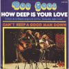 Bee Gees, How deep is your love