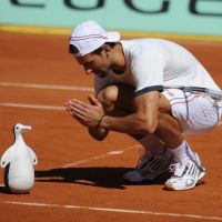 Roland-Garros 2012 : Novak Djokovic délire devant Bob Sinclar et Serena Williams