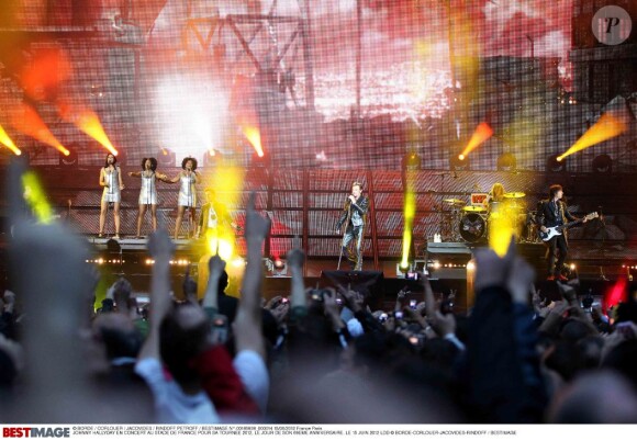 Johnny Hallyday au Stade de France, le 15 juin 2012.