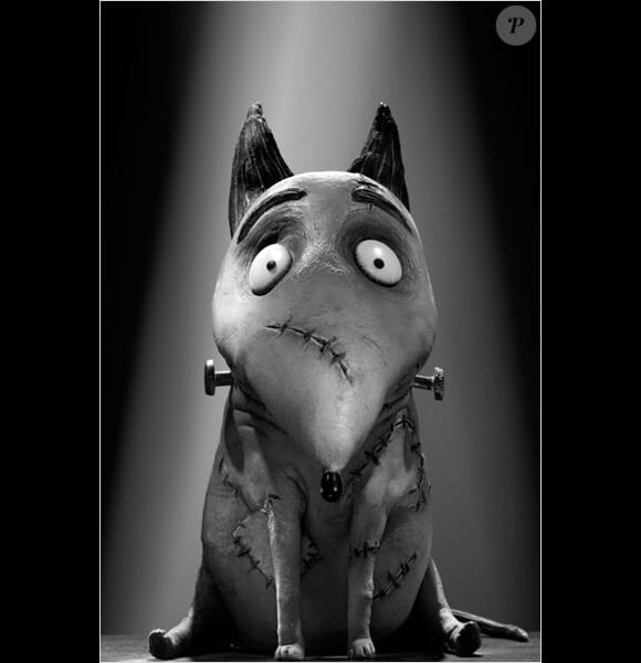 Le chien Sparky de Frankenweenie, un film de Tim Burton. En salles le 31 octobre.