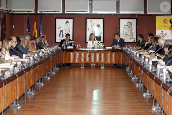 L'infante Elena d'Espagne prenait part le 28 juin 2012 à une réunion du Comité paralympique espagnol.